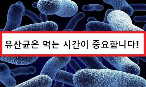 Lactobacillus Hiệu quả