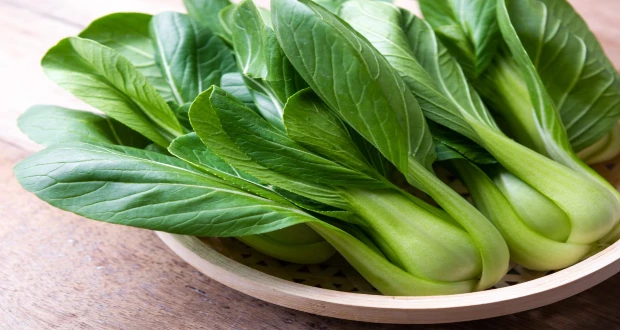 Bok choy Hiệu quả